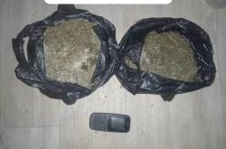 Sat Narkoba Polres Pelabuhan Belawan Tangkap Pengedar Ganja Asal Aceh.