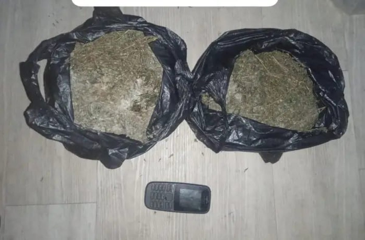 Sat Narkoba Polres Pelabuhan Belawan Tangkap Pengedar Ganja Asal Aceh.